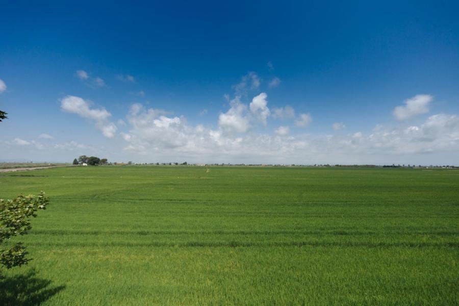 Salicornia Apartament L'Eucaliptus المظهر الخارجي الصورة